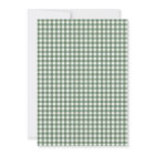 Classic Sage Green Gingham Plaid Couples Shower