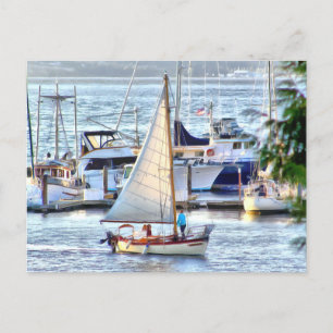 Classic Sailboat at Sunset in Port Hadlock WA Postcard