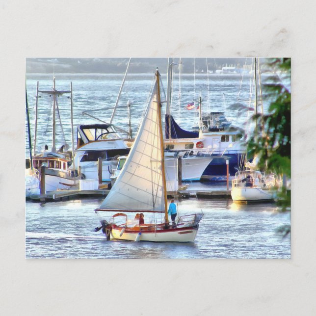 Classic Sailboat at Sunset in Port Hadlock WA Postcard (Front)