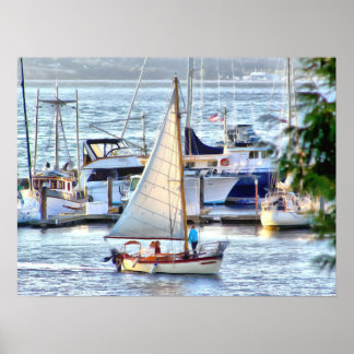 Classic Sailboat Sailing into Port Hadlock Marina Poster