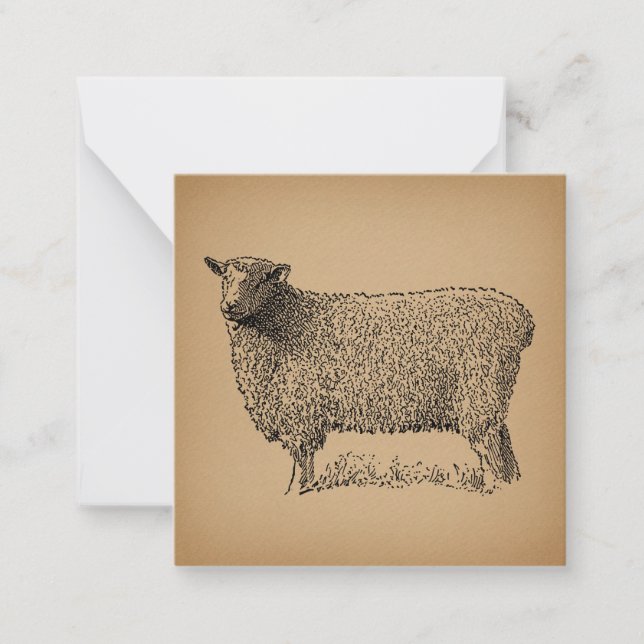 Classic Sheep Art Illustration Antique Farm Animal Card (Front)