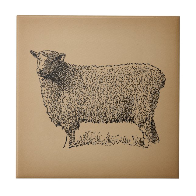 Classic Sheep Art Illustration Antique Farm Animal Tile (Front)