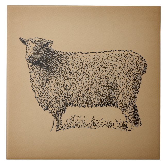 Classic Sheep Art Illustration Antique Farm Animal Tile (Front)