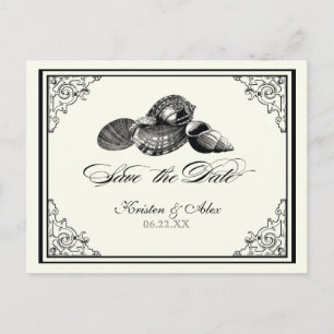 Classic Shells Black Cream Save the Date Postcard