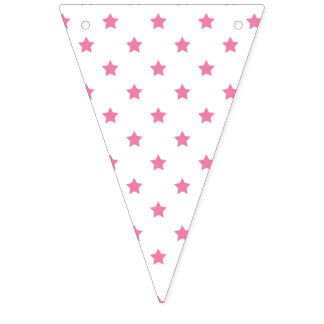 Classic Stars Fuchsia Pink - White Bunting
