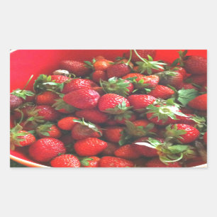 Classic Strawberries Rectangular Sticker