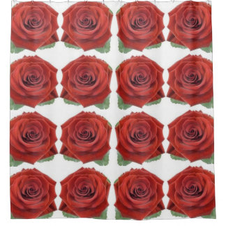 Classic Styles Florals  Shower Curtain