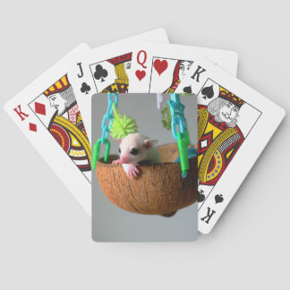 Classic Sugar Glider Playing Cards