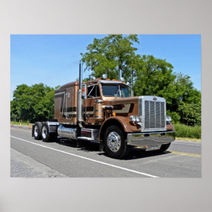 Classic Tan 359 Poster