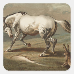 Classic The Ballad of the Lost Hare Square Sticker