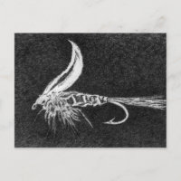 Classic Trout Fly Postcard Gold Ribbed Hare"s Ear