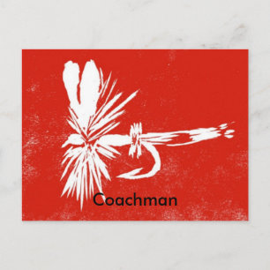 Classic Trout Fly Postcard "Red Coachman"