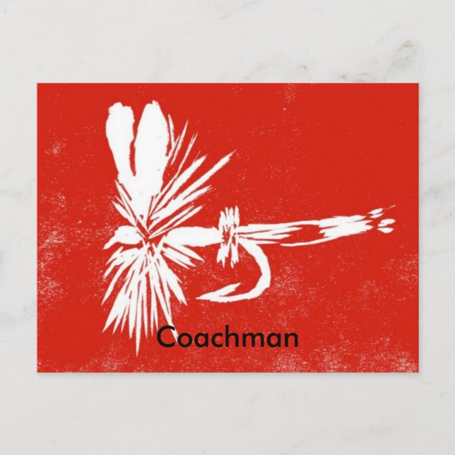Classic Trout Fly Postcard "Red Coachman" (Front)