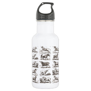 Classic Unicorn Antique Mythical Magical Creature 532 Ml Water Bottle