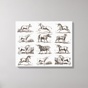Classic Unicorn Antique Mythical Magical Creature Canvas Print
