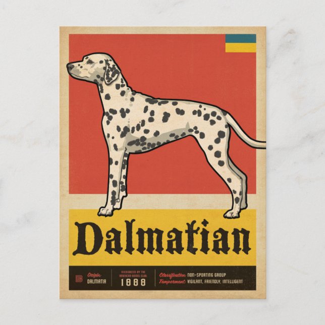 Classic Vintage Dalmation Postcard (Front)