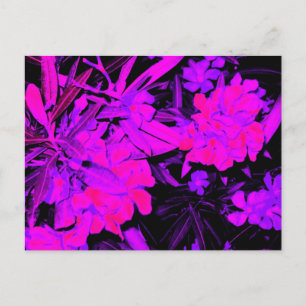 classic+vintage+stylish+artistic+look, postcard