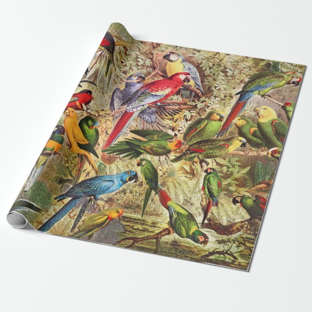 Classic Vintage Tropical Birds Parrots  Wrapping Paper (Unrolled)