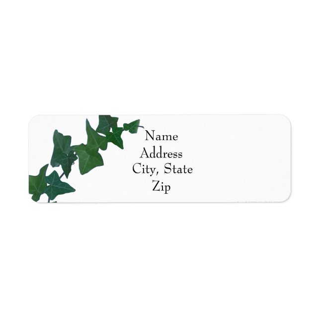Classic watercolor Green English Ivy     (Front)