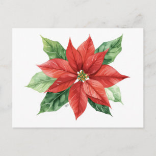 Classic Watercolor Red Poinsettia Flower Holiday Postcard