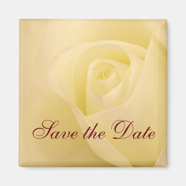 Classic white bridal rose save the date magnet (Front)