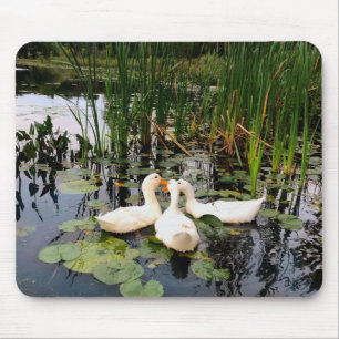 Classic white ducks on beautiful lake mouse mat