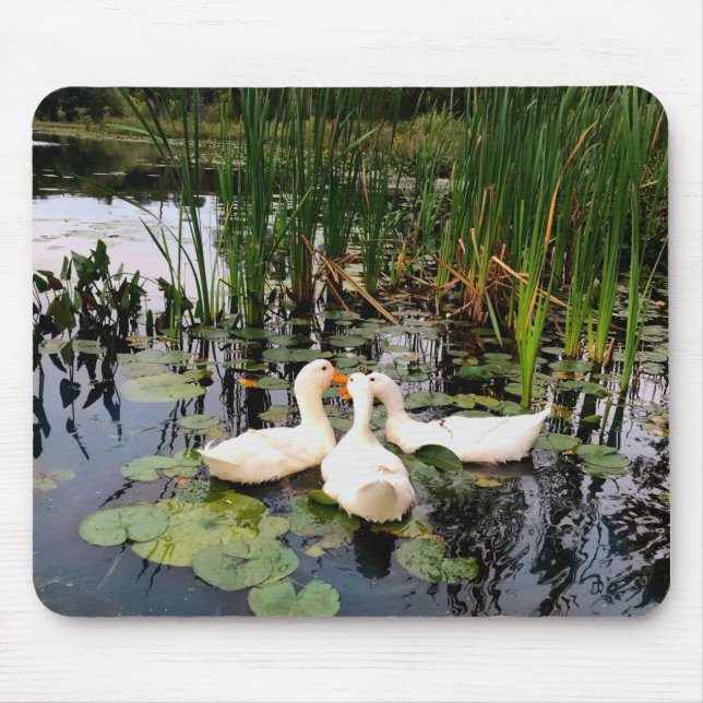 Classic white ducks on beautiful lake mouse mat (Front)