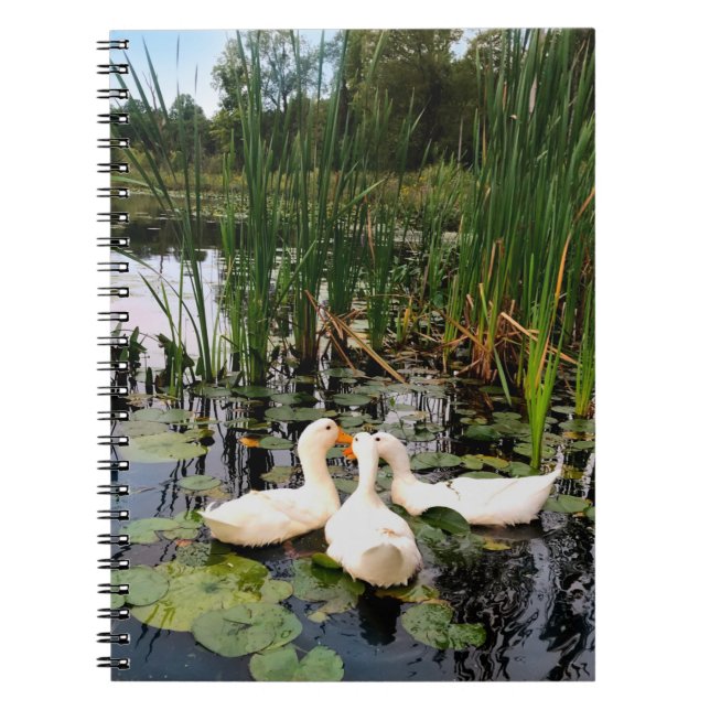 Classic white ducks on beautiful lake notebook (Front)