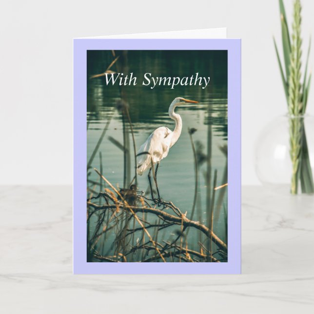 Classic White Egret Shore Bird Wildlife Nature  Card (Front)