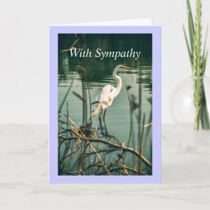 Classic White Egret Shore Bird Wildlife Nature  Card