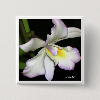 Classic White Orchid 15 Cm Square Badge