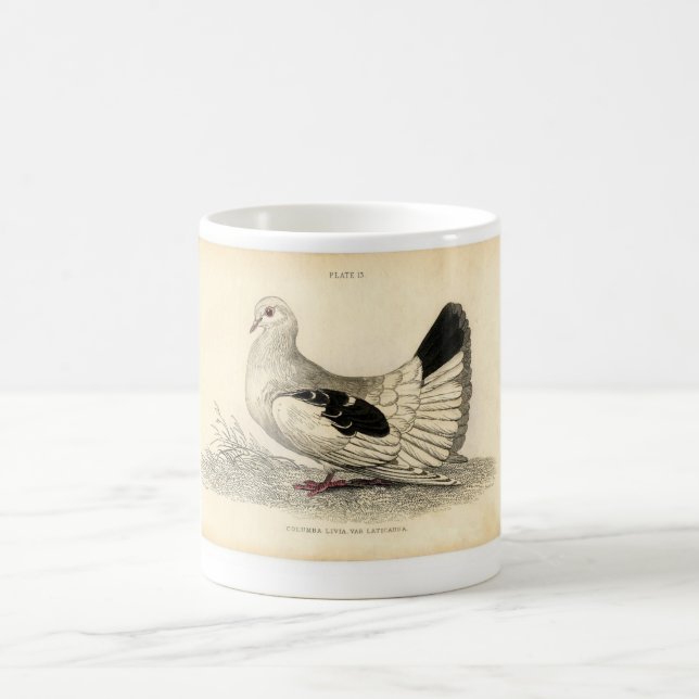 Classic Zoological Etching - Dove Coffee Mug (Center)