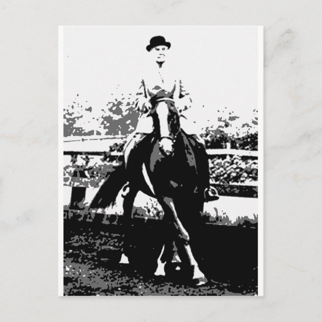 Classical Horse 14 Postcard (Front)