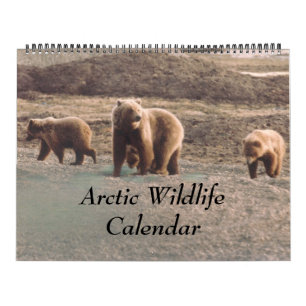 Classy Arctic Wildlife Alaska Photo Designed Calendar