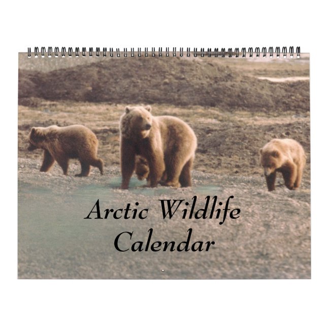 Classy  Arctic Wildlife Alaska Photo Designed Calendar (Cover)