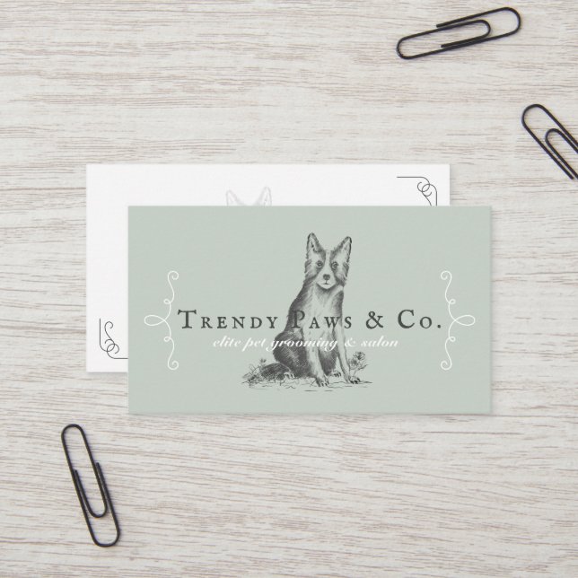 Classy Boutique Style Pet Salon Border Collie Dog Business Card (Front/Back In Situ)