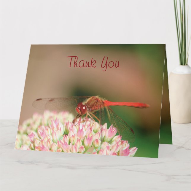 Classy Dragonfly Thank You (Front)