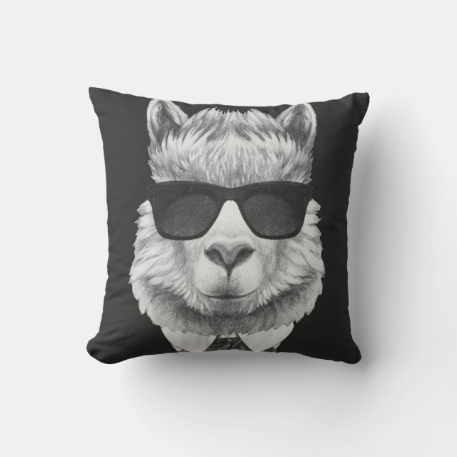 Classy Llama Cushion (Front)