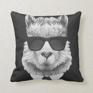 Classy Llama Cushion