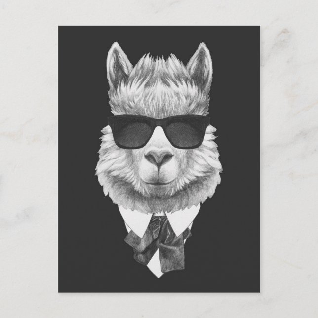 Classy Llama Postcard (Front)
