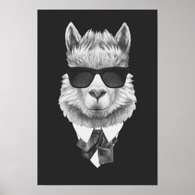 Classy Llama Poster (Front)