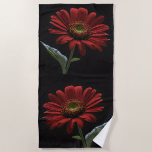 Classy Red Daisy On Black, Beach Towel