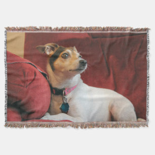 Classy  throw blanket