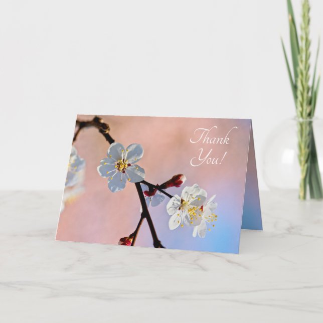 Classy White Japanese Apricot Flowers Thank You Card (Front)