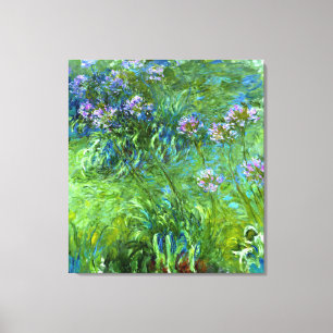 Claude Monet: Agapanthus Canvas Print