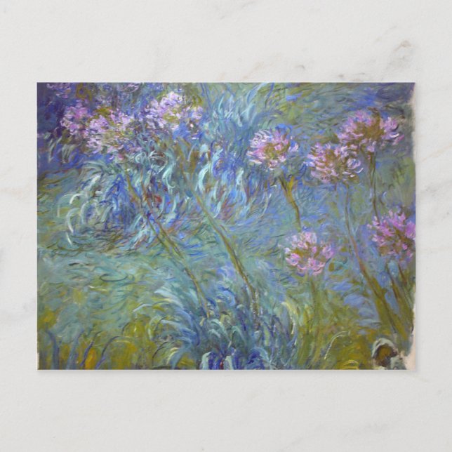 Claude Monet - Agapanthus Classic Flowers Painting Postcard (Front)