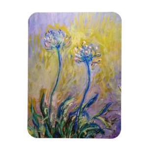 Claude Monet - Agapanthus Magnet