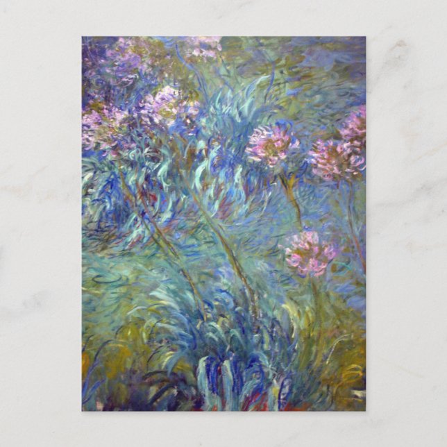 Claude Monet Agapanthus Postcard (Front)