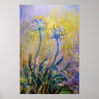 Claude Monet - Agapanthus