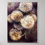 Claude Monet - Dandelions Reproduction Art Print<br><div class="desc">Reproduction botanical poster depicting the painting "Dandelions" by renowned French Impressionist artist Claude Monet (1840 - 1926). Featured in the print are fluffy white dandelion puffs surrounded by a black, brown, and grey background. The original artwork made headlines in 2011 for being sold for $6 million in the Ukraine. Technique:...</div>